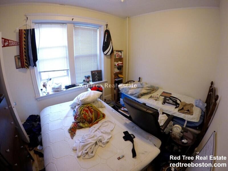 Building Photo - 74 Egmont St