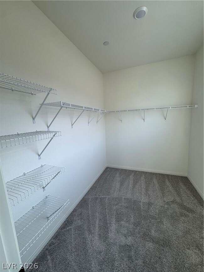 Building Photo - 1505 Little Penguin St