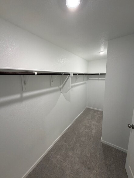 Building Photo - 2961 Serenity Grv Ln