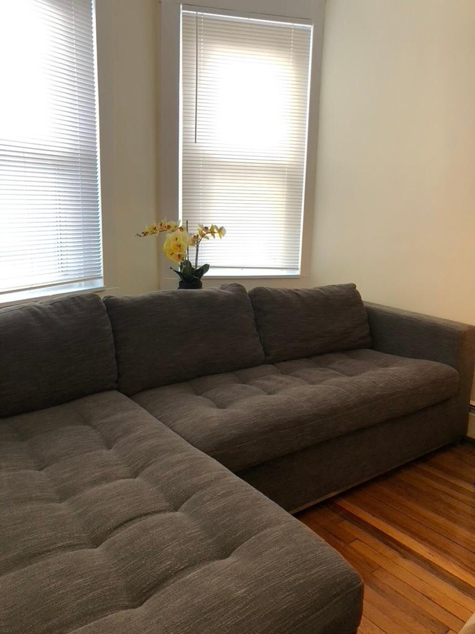 Building Photo - 1776 Commonwealth Ave