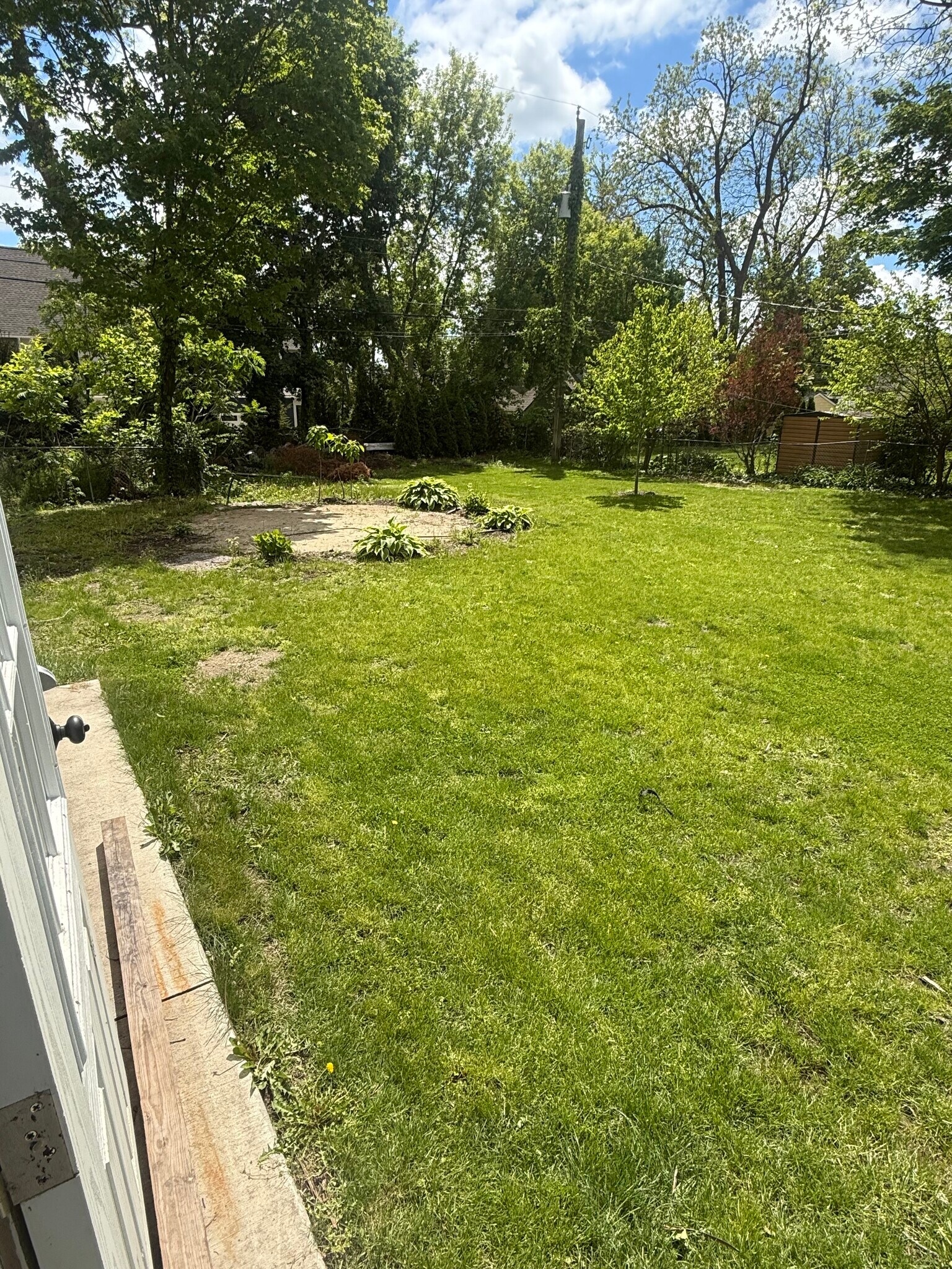Backyard - 361 S Wing St