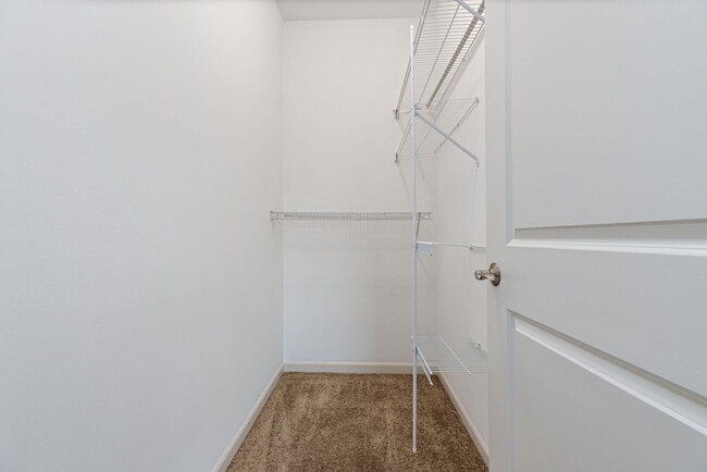 Building Photo - 1569 Colleen Ln