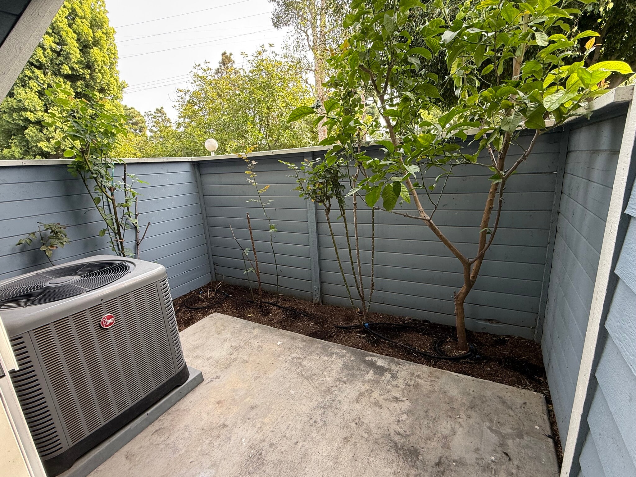 Building Photo - 26145 Frampton Ave