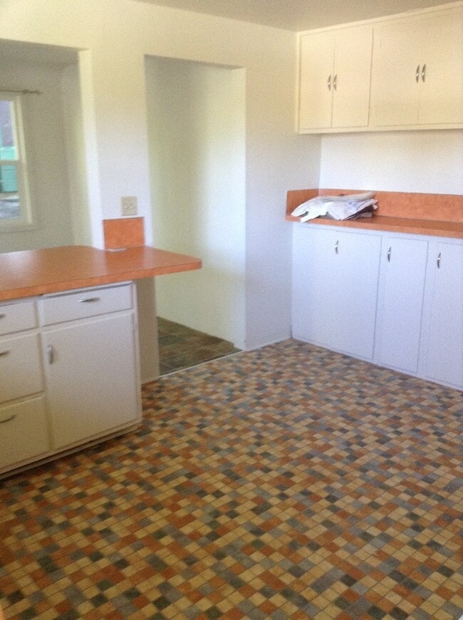 Building Photo - Beautiful 5 BR Campus Home w/Large Fenced Yard