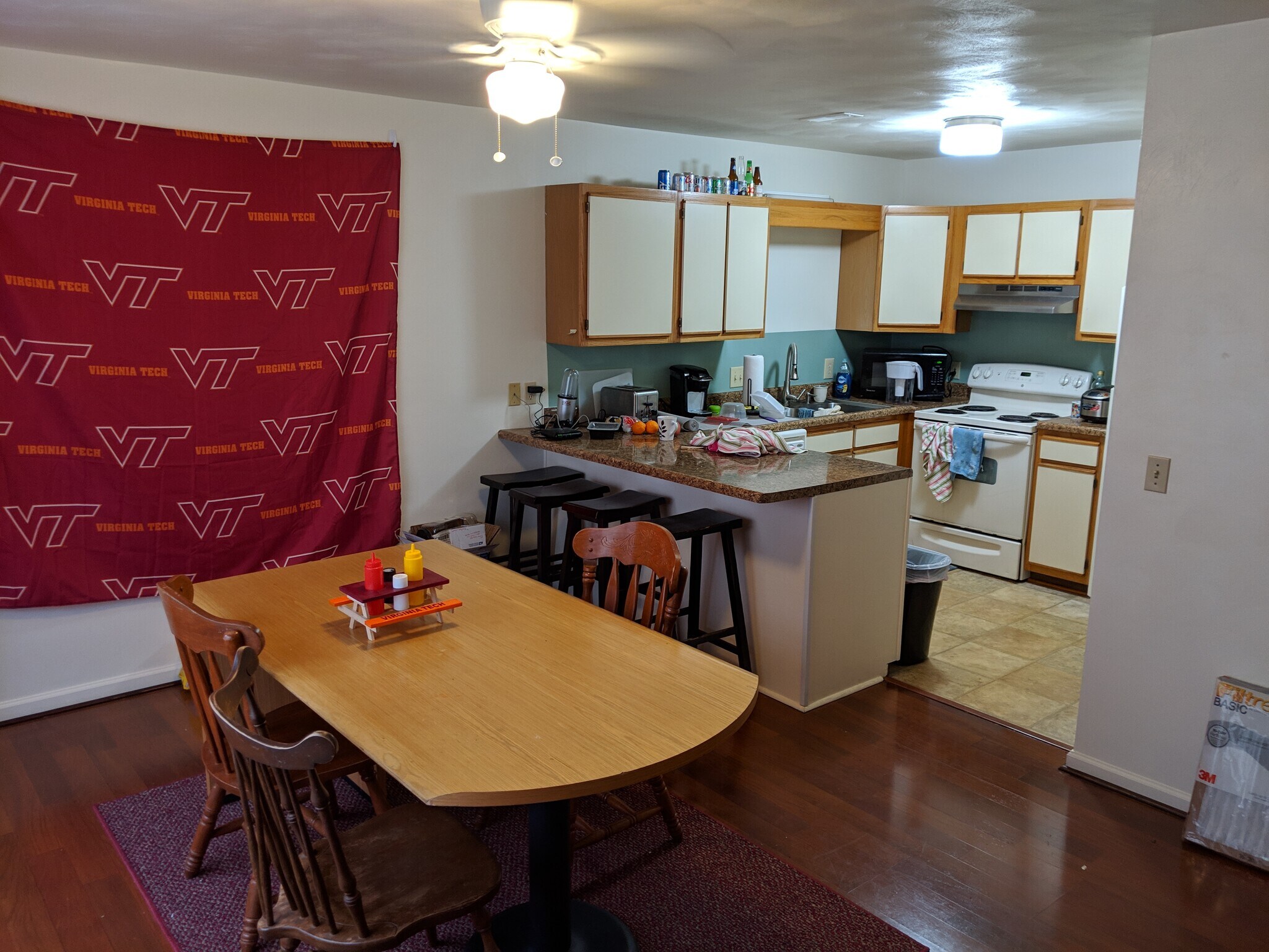 Living Room & Kitchen - 892 Patrick Henry Dr