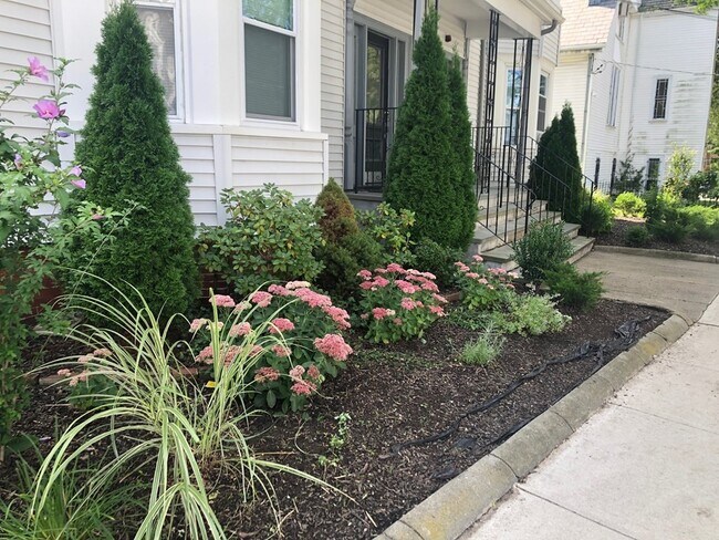 Building Photo - 54 College Ave