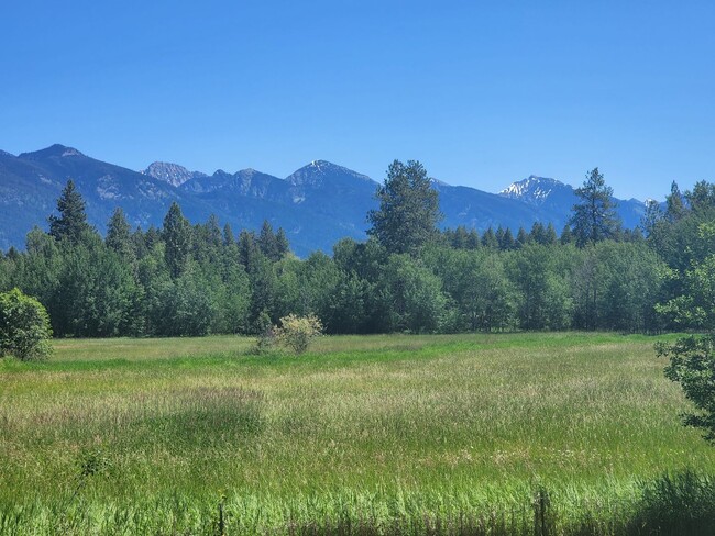 Building Photo - Wildlife abundant, log 2bdrm/1ba lower apa...