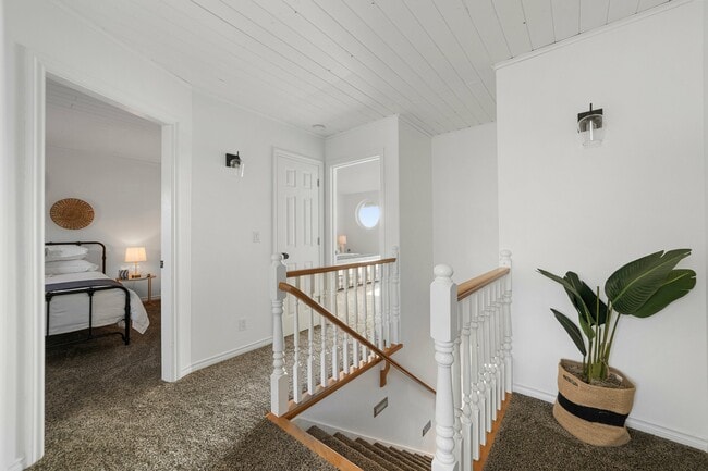 Building Photo - 4825 Sucia Dr