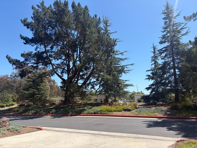 Building Photo - Capitola Knolls, Remodeled 3bd. 1.5ba two-level townhome
