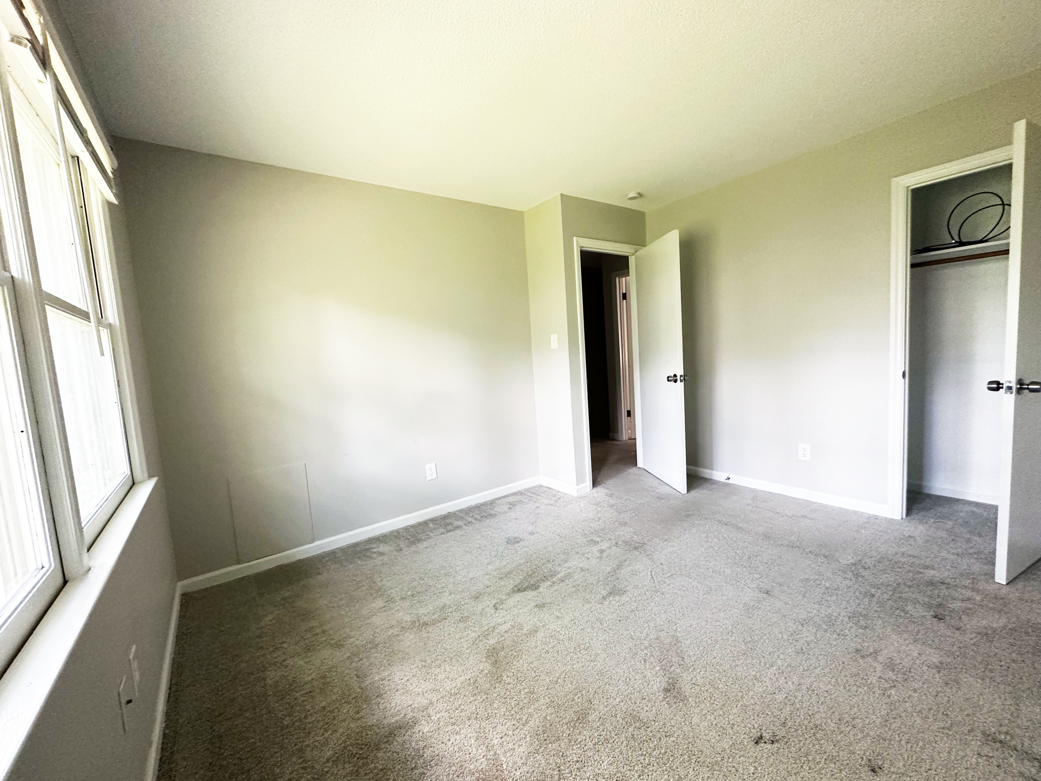 Bedroom 2 - 231 Bridgefield Pl