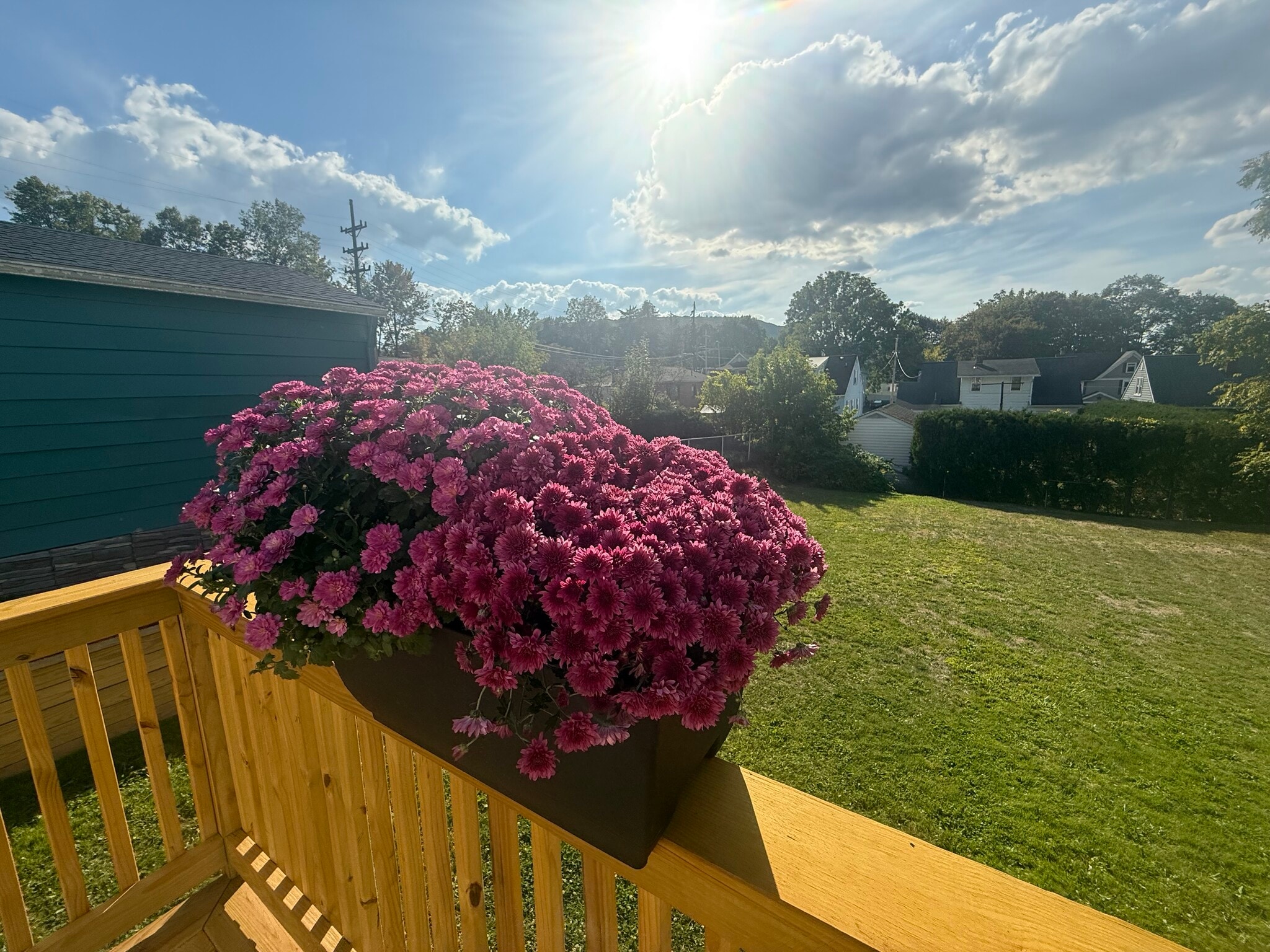 Building Photo - 116 Mary St