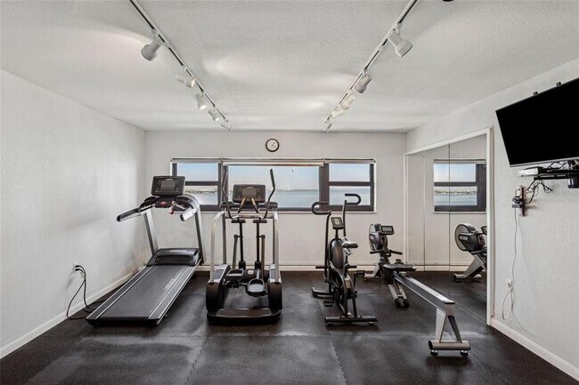 Building Photo - 4141 Bayshore Blvd