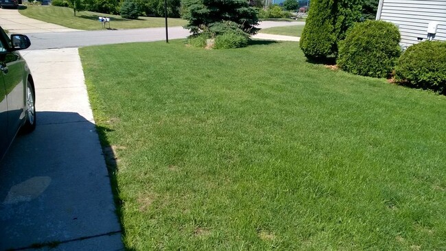 Front Yard - 9644 Meadowland Ct
