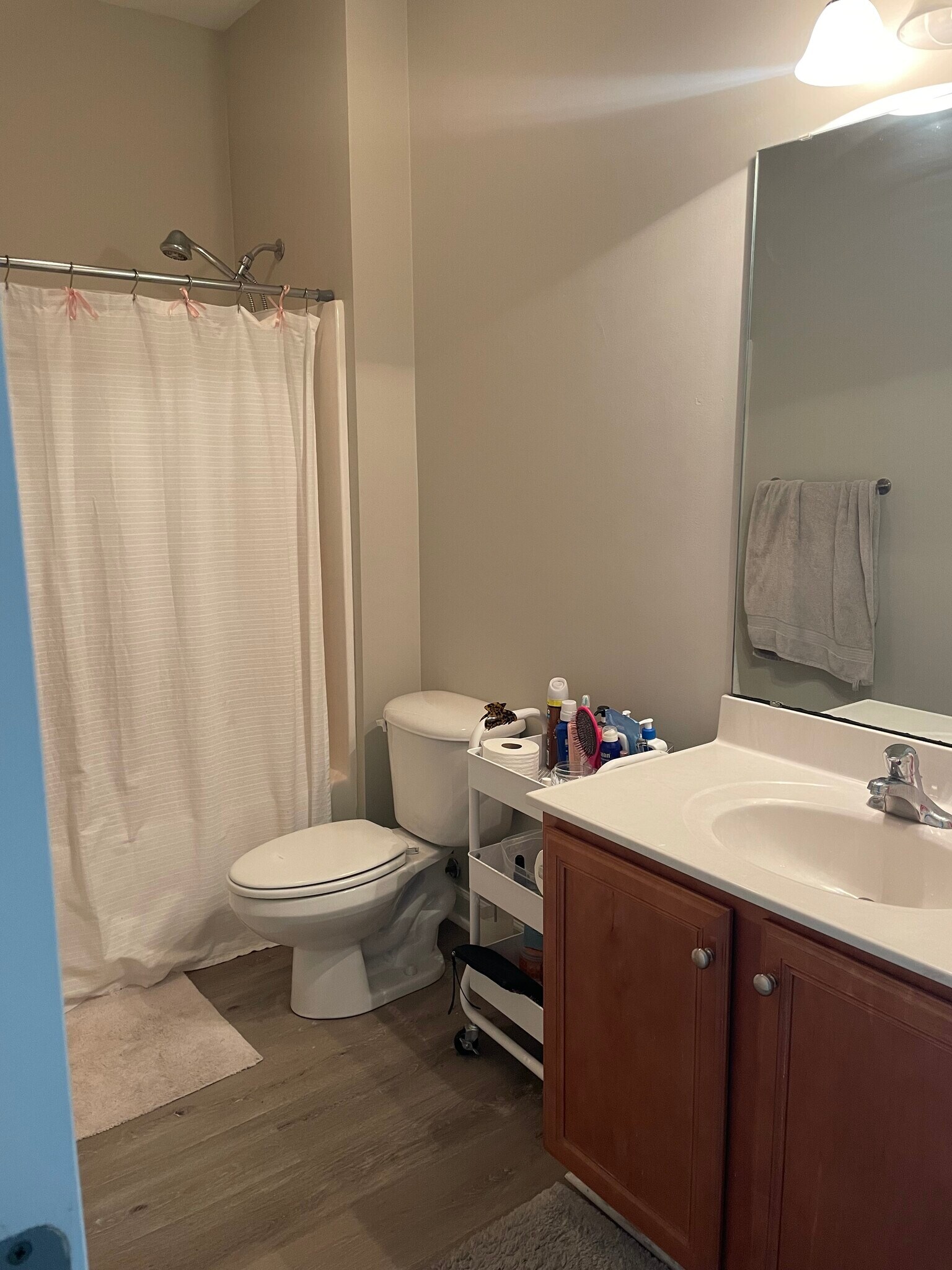 Hall Bath - 5118 Christian Dr