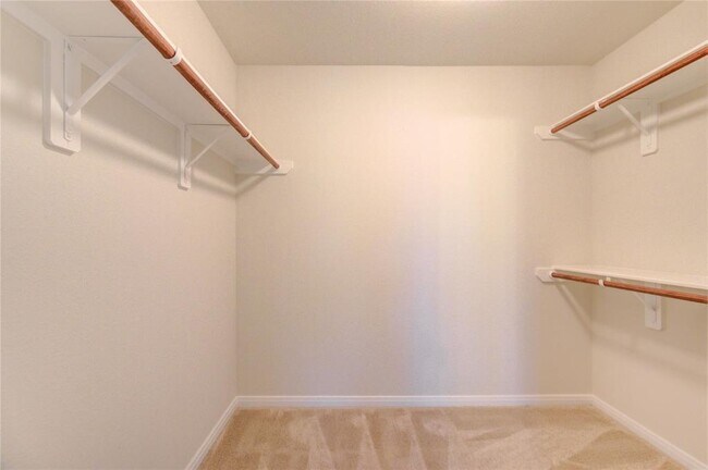 Building Photo - 2922 Coral Berry Ct