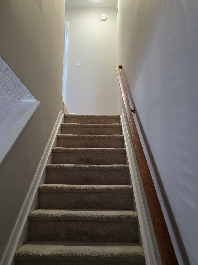 Building Photo - 2204 Ventana Ln