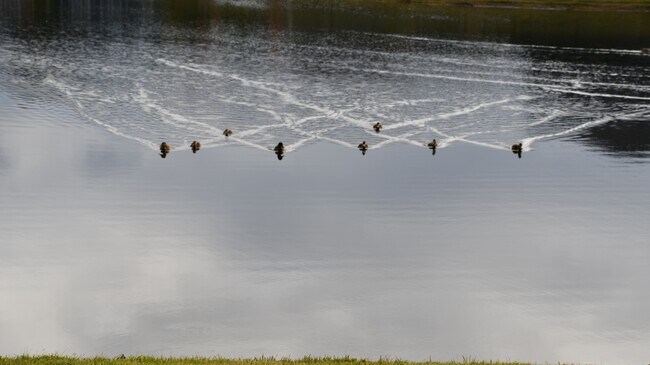 Building Photo - 97389 Harbor Concourse Cir