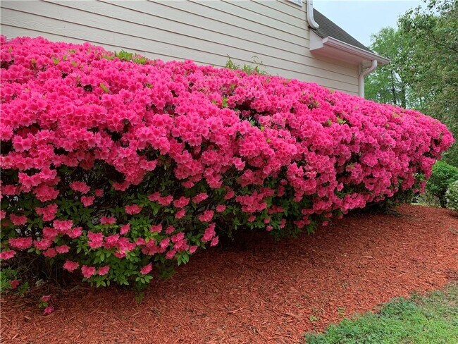 Building Photo - 2020 Chelton Way SE