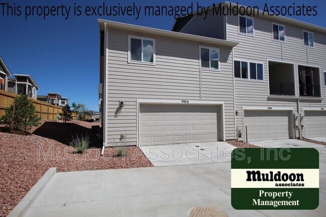 Building Photo - 7525 Mount Elbert Pt
