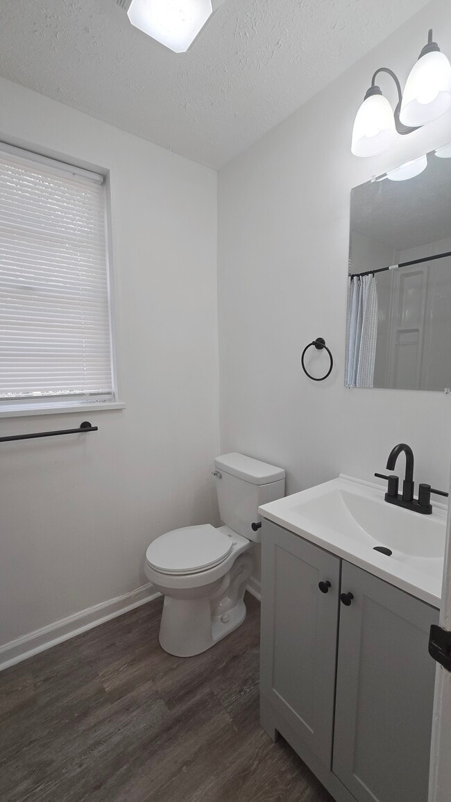 Building Photo - Monetta Apartments