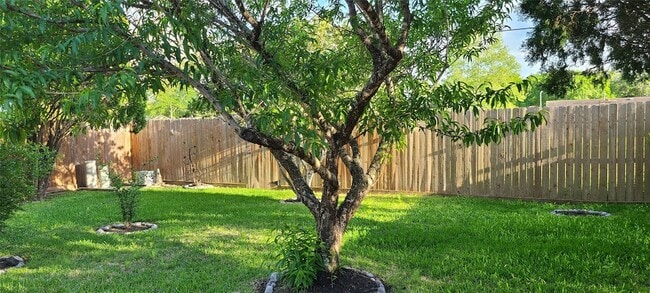 Building Photo - 16311 La Luna Dr