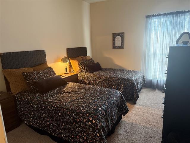 Building Photo - 8929 Soldiers Home Ln