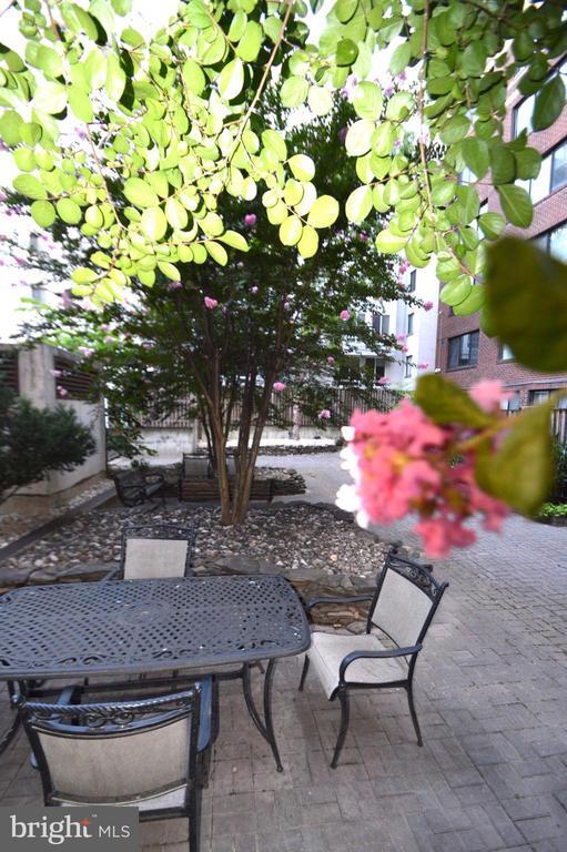 Building Photo - 1245 13th St NW