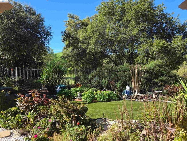 Building Photo - 3479 Gravina Pl