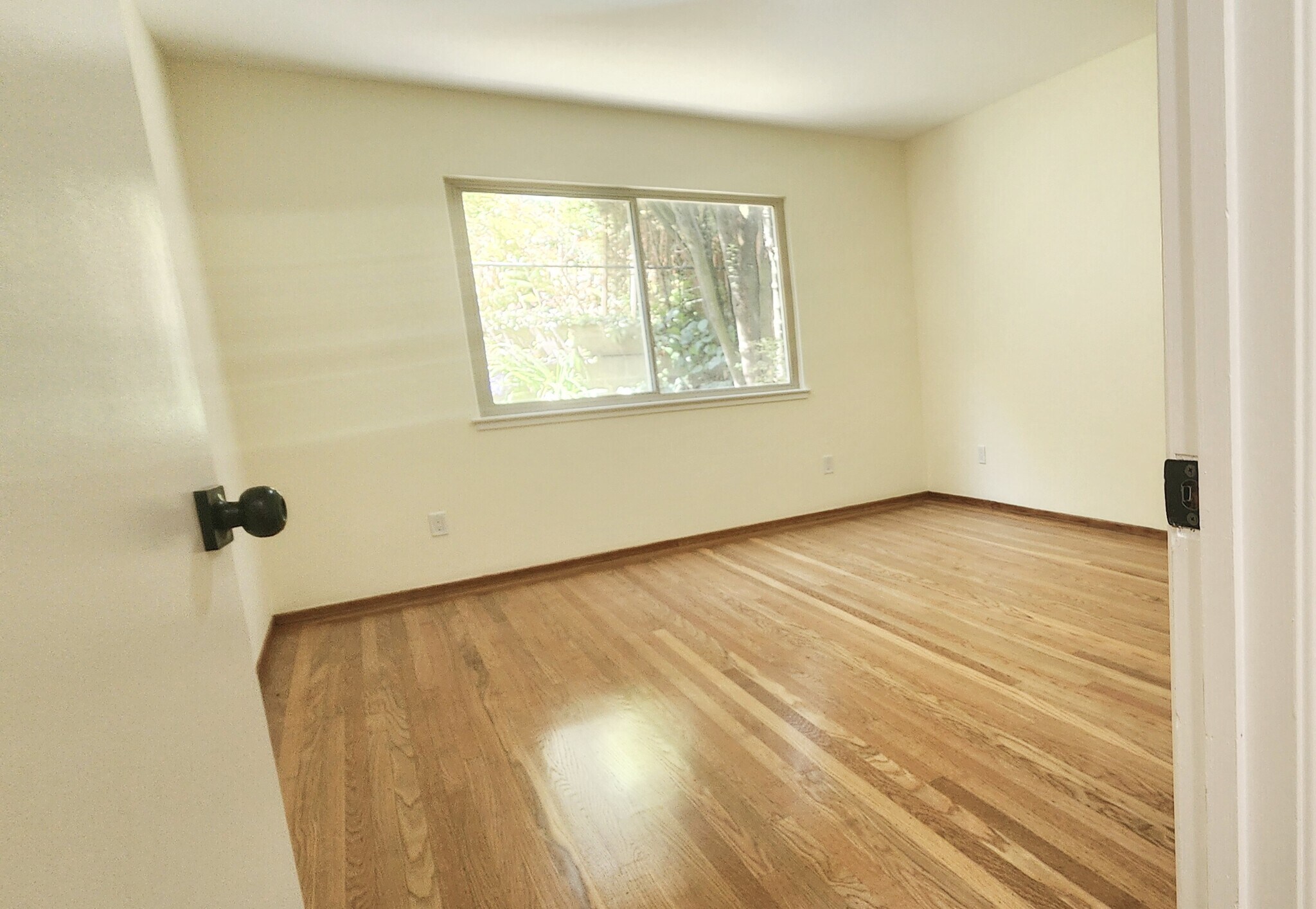 Building Photo - 286 Roosevelt Way