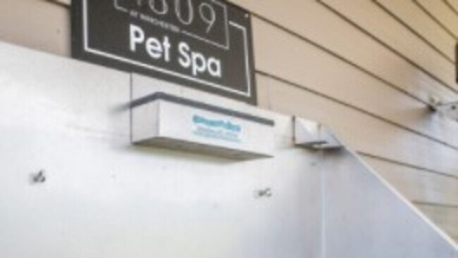 Building Photo - 1809 Meeting St