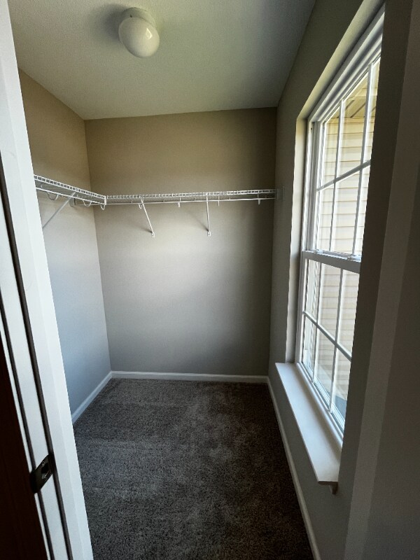 Building Photo - 202 Clover Meadow Ln