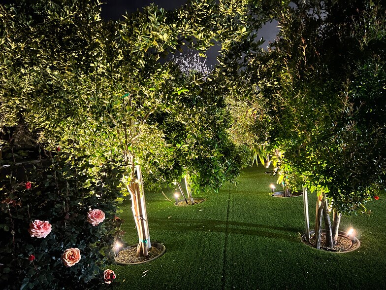 Building Photo - 7728 Sausalito Ave