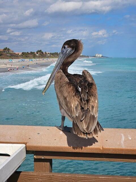 Building Photo - 1206 Mainsail Cir