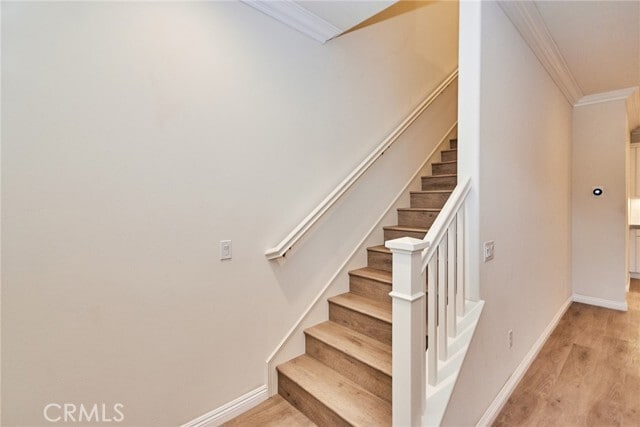 Building Photo - 2437 Sanabria Ln