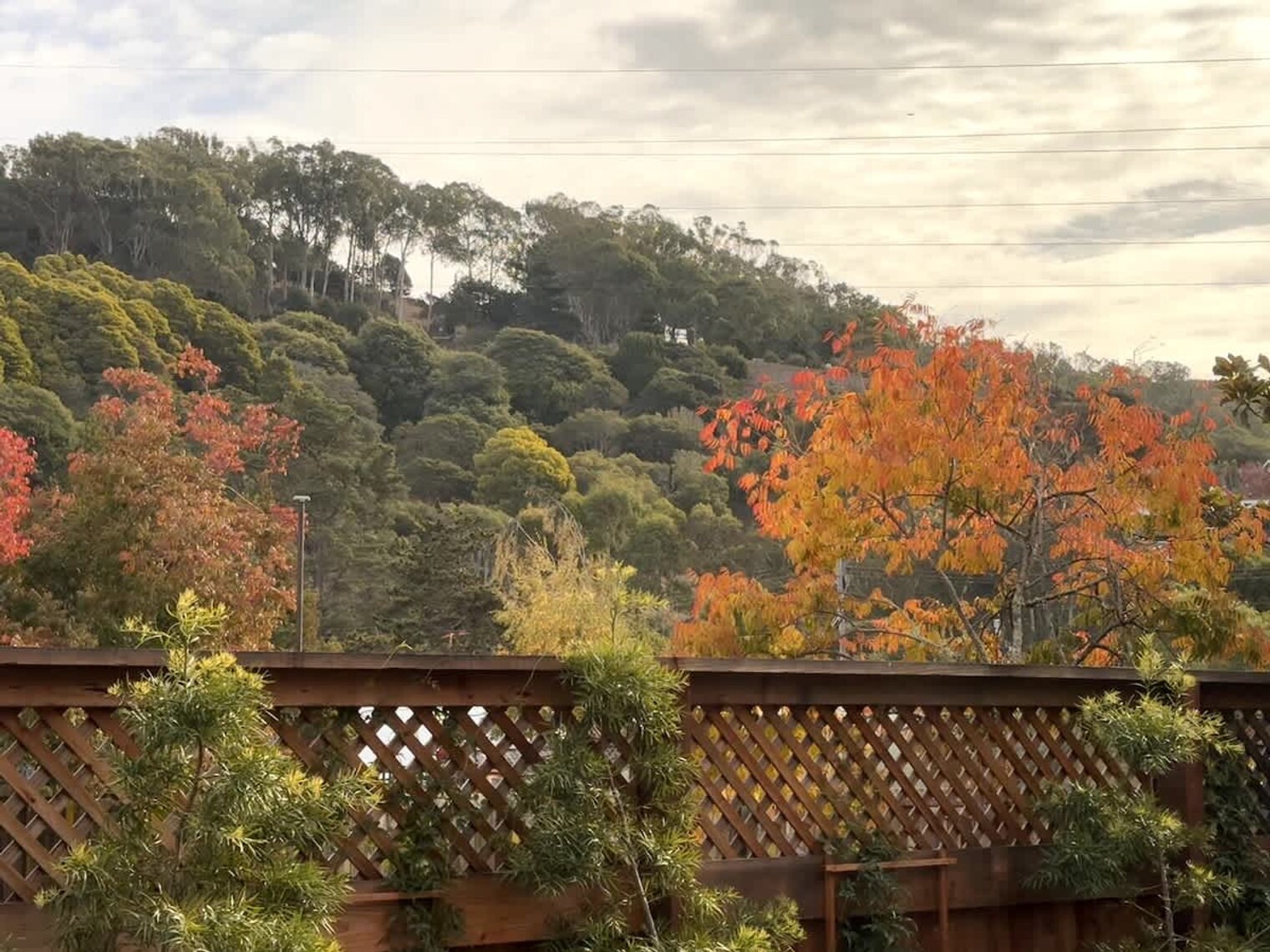 Building Photo - 292 Bell Ln