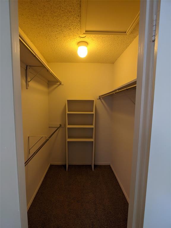 Building Photo - 15151 Berry Trail