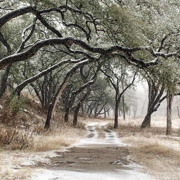 The park at back of neighborhood along Onion Creek - 429 Pink Granite Blvd