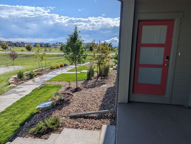 Building Photo - BRAND NEW HOME FOR RENT IN TIMNATH TRAILSIDE COMMUNITY! READY FOR IMMEDIATE OCCUPANCY!