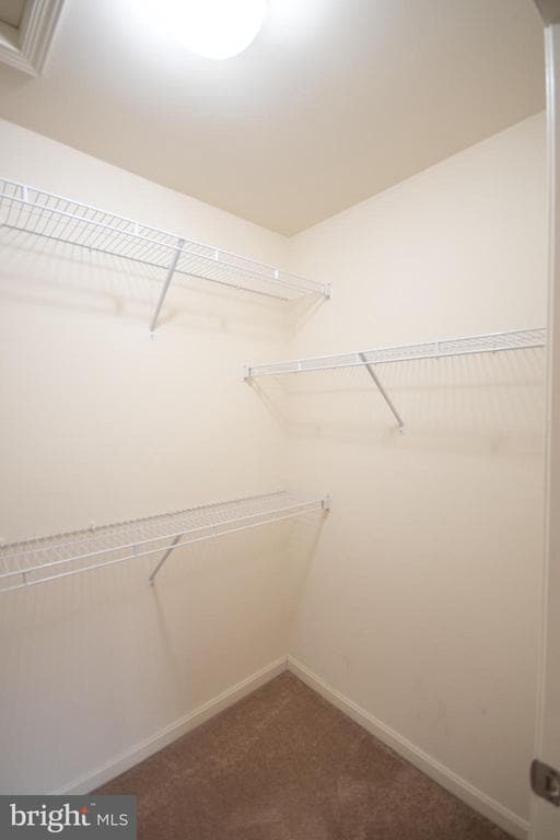 Building Photo - 8024 Cayzer Ln