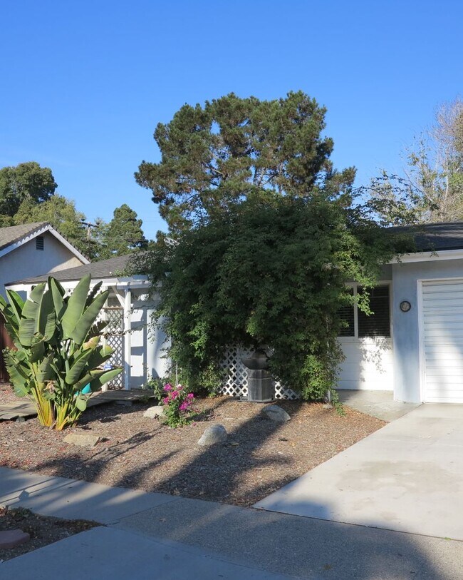 Primary Photo - Charming 3 bedroom, 1-bathroom home in San...