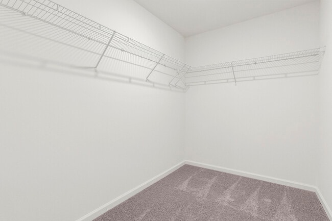 Building Photo - 2660 Senegal Wy