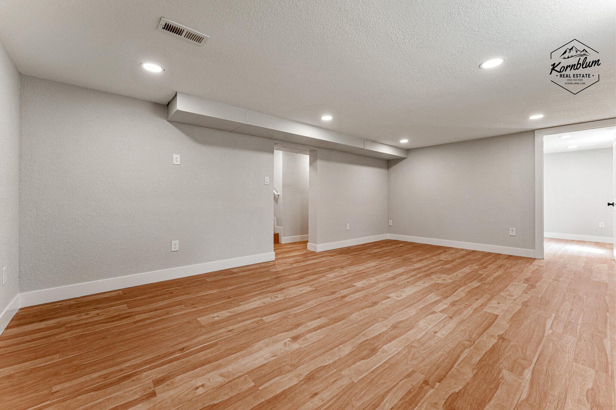 Basement Livingroom - 3528 Krameria St