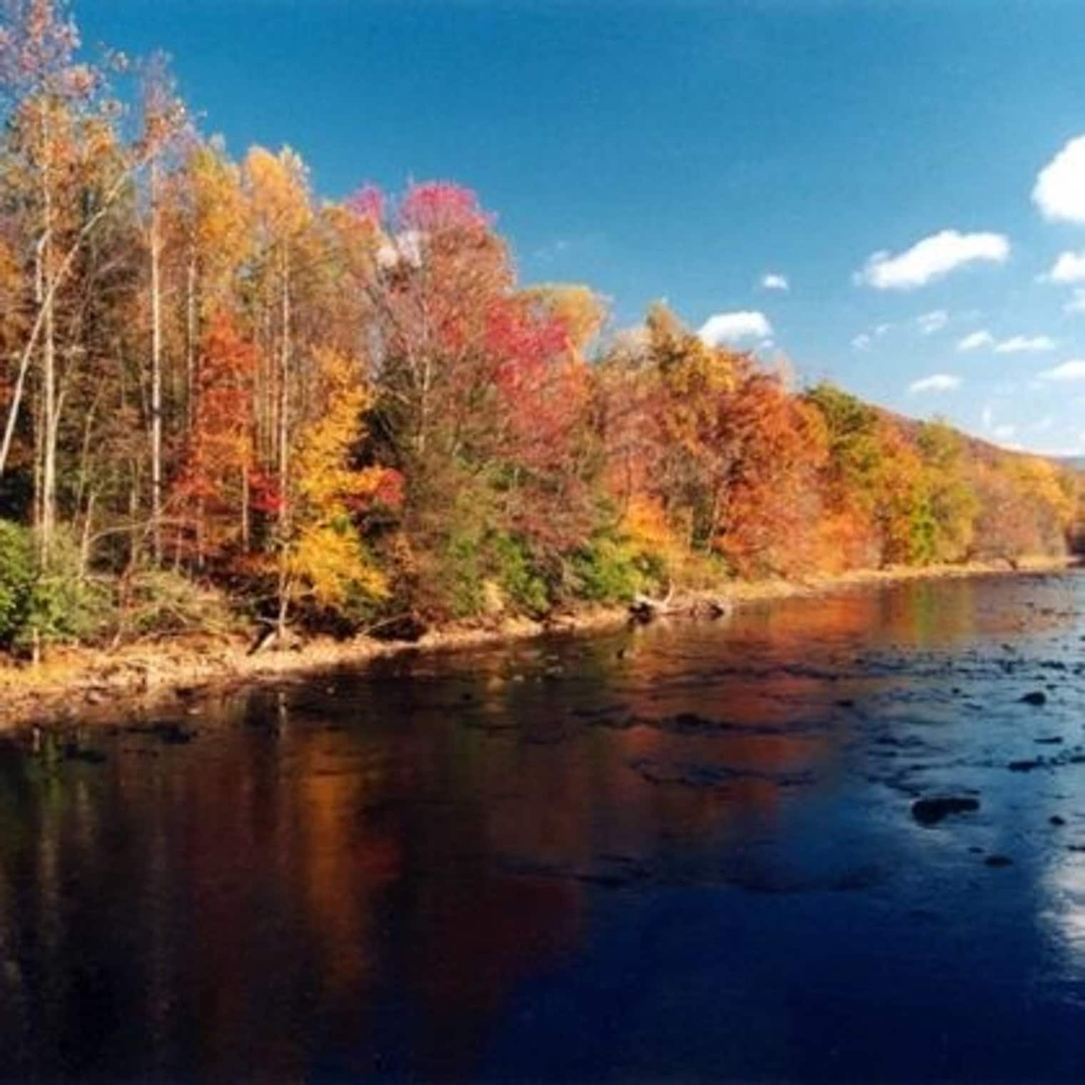 Building Photo - 72 Faulkner Rd