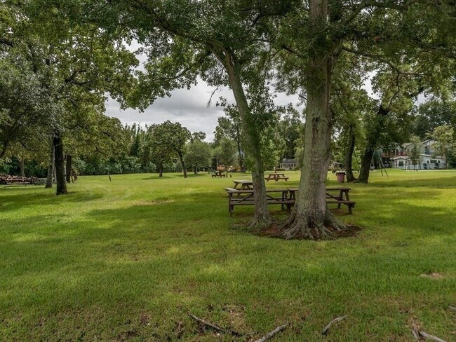 Building Photo - 1819 Cove Park Dr