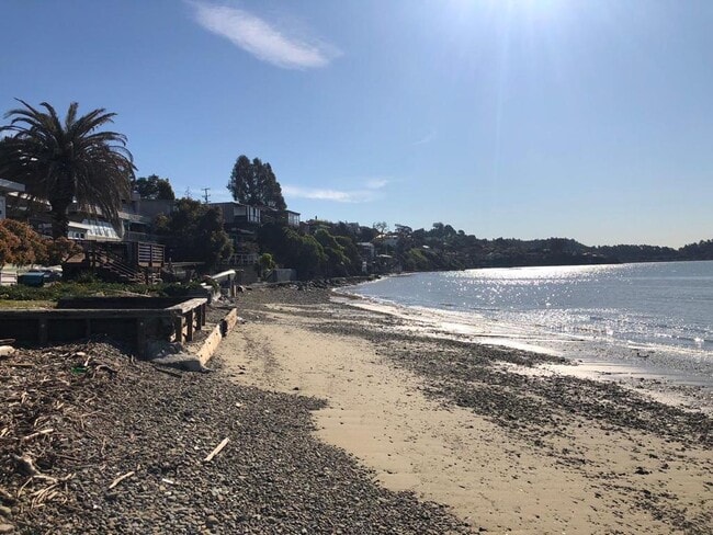 Building Photo - 869 Ocean Ave