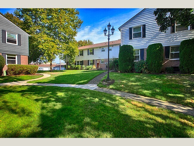 Building Photo - Lovely Mid-Century Gem in Peaceful Park Li...