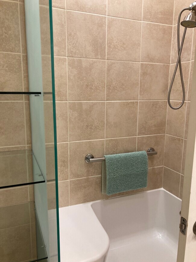 step in shower - 746 Dale Ave NW