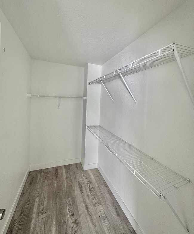 Building Photo - 8312 Maplestar Rd