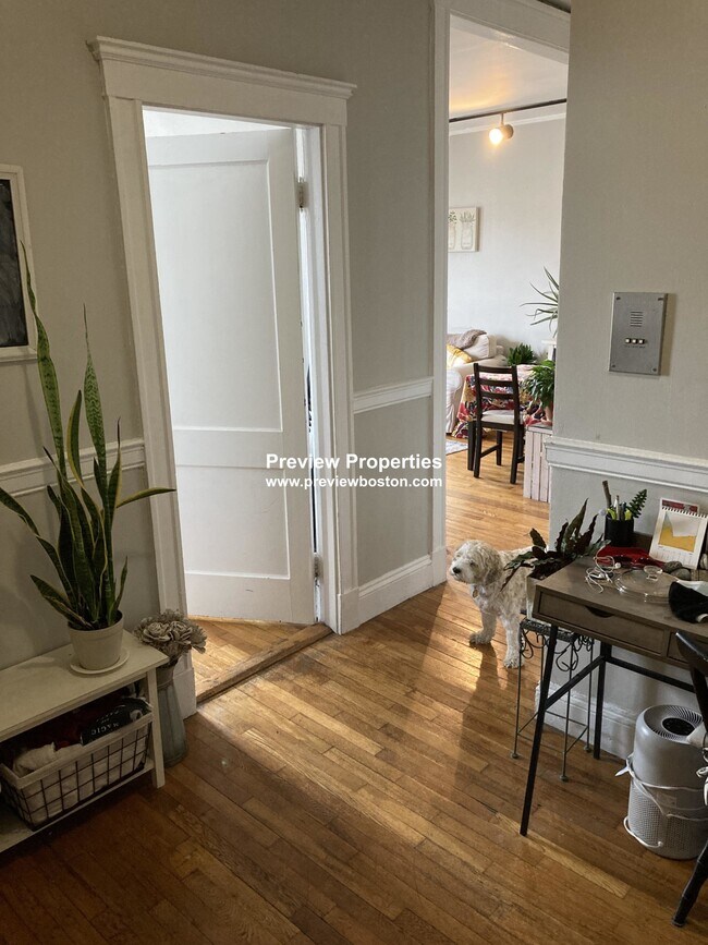 Building Photo - 1572 Commonwealth Ave