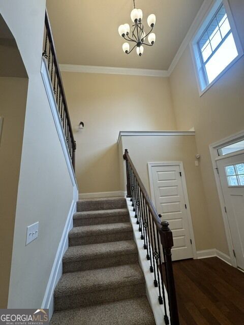 Building Photo - 320 Homestead Cir